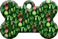 Cactus_12